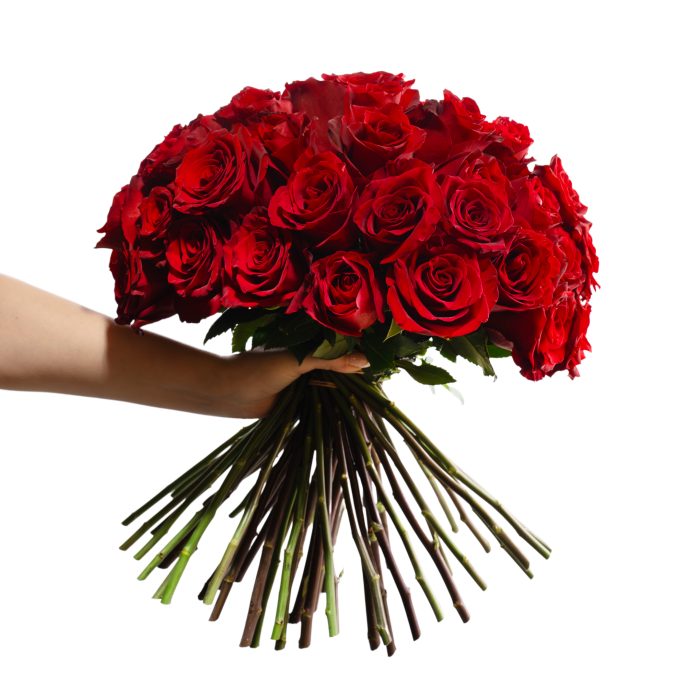 Ανώνυμο σχέδιο - 1