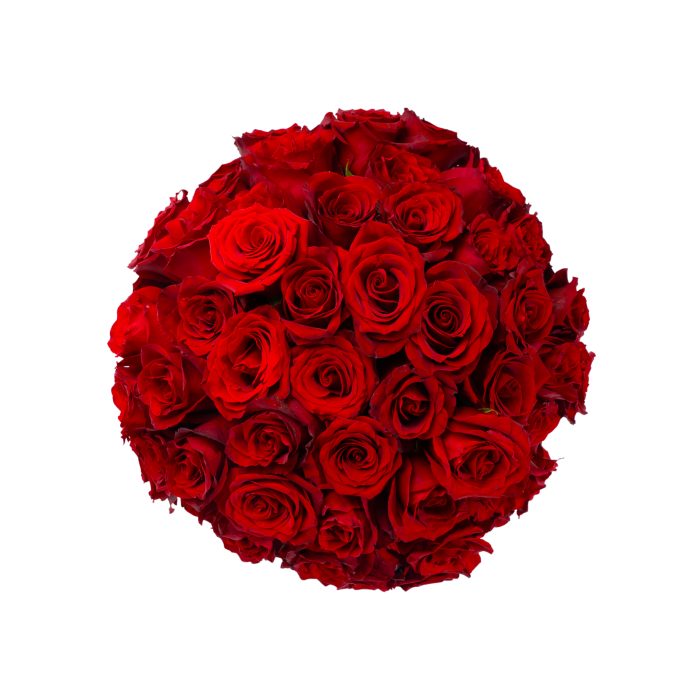 Ανώνυμο σχέδιο - 1