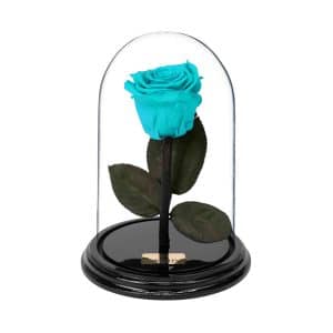 Flowershops in Athens to buy online forever roses