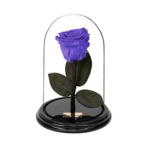 Flowershops in Athens to buy online forever roses