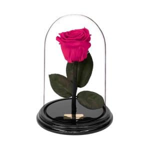 Flowershops in Athens to buy online forever roses