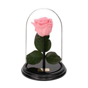 Flowershops in Athens to buy online forever roses