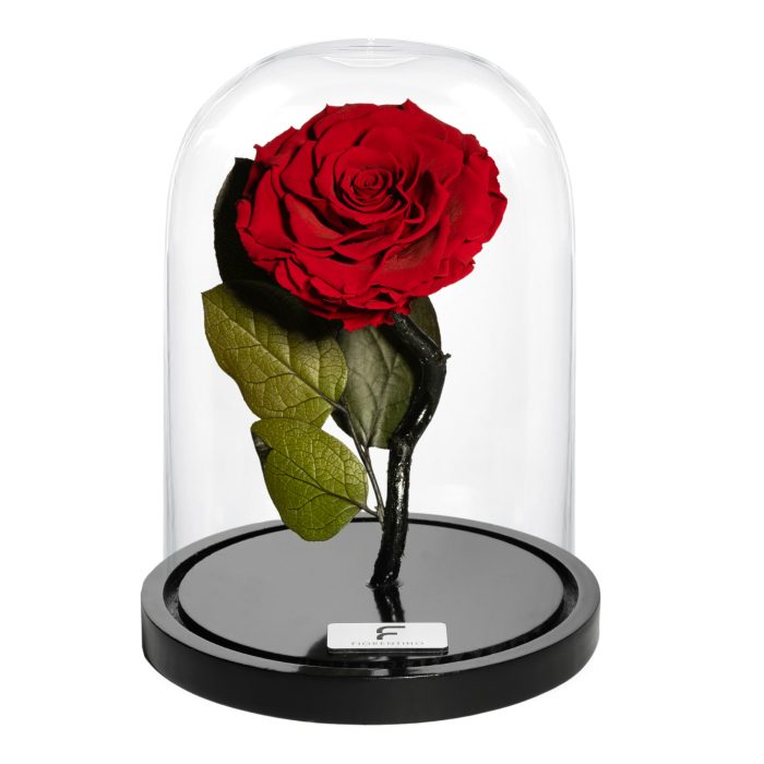 BELLE'S SECRET - RED M
