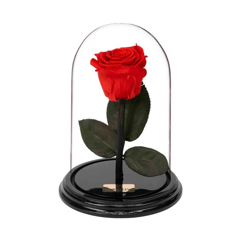γυάλα με τριαντάφυλλα forever για δώρο σε γυναίκα Αγίου Βαλεντίνου