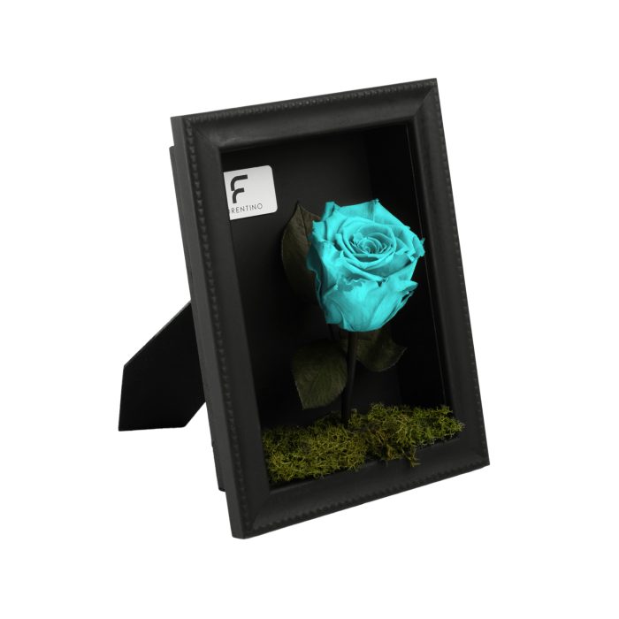 NATURA A CASA - TIFFANY S - Image 2