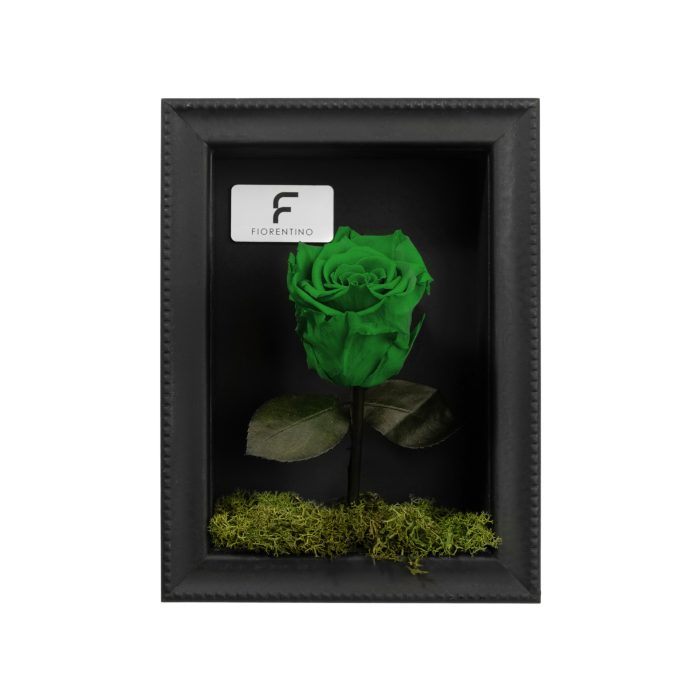 Natura a Casa Green Small
