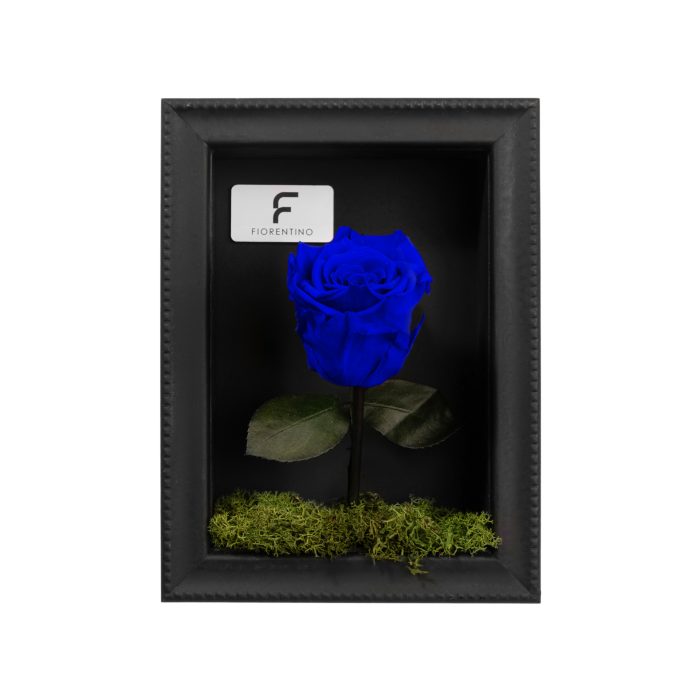 Natura a Casa Blue Small