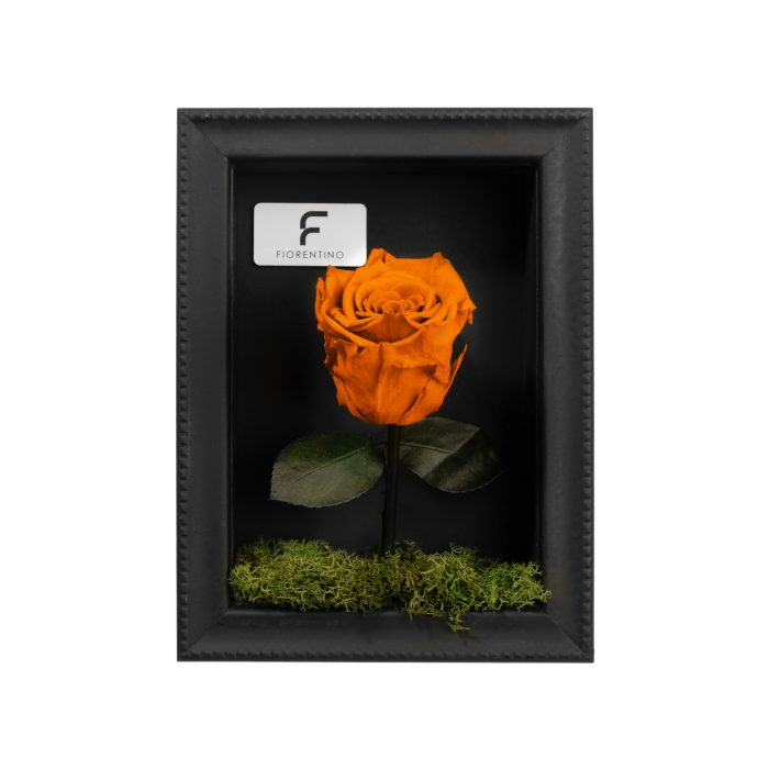 NATURA A CASA - ORANGE S