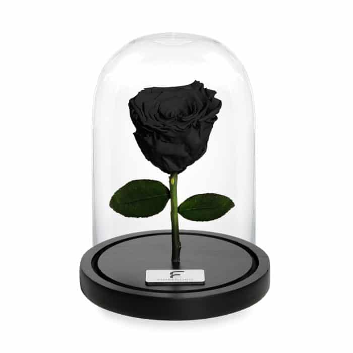 BELLE'S SECRET - BLACK S
