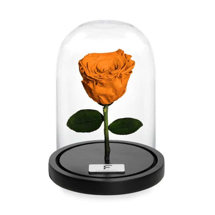 BELLE'S SECRET - ORANGE S