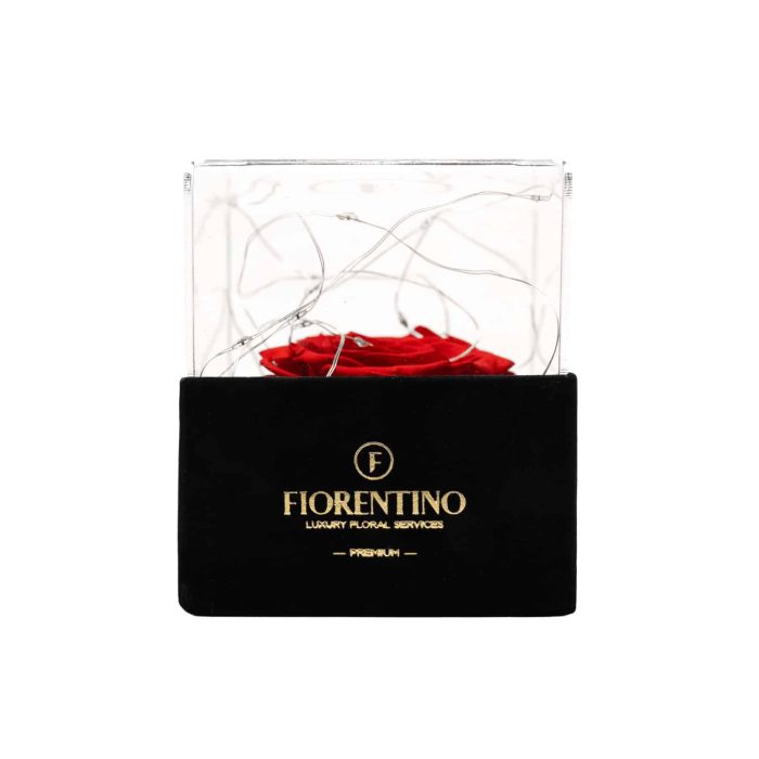 Valentine's Day gift ideas