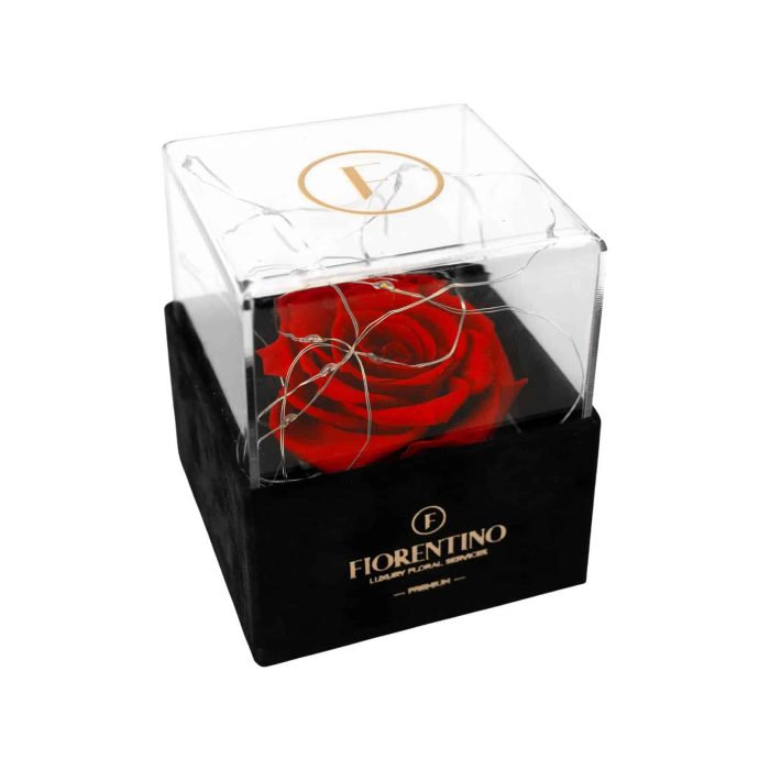 box with forever rose as a for Valentine's Dad