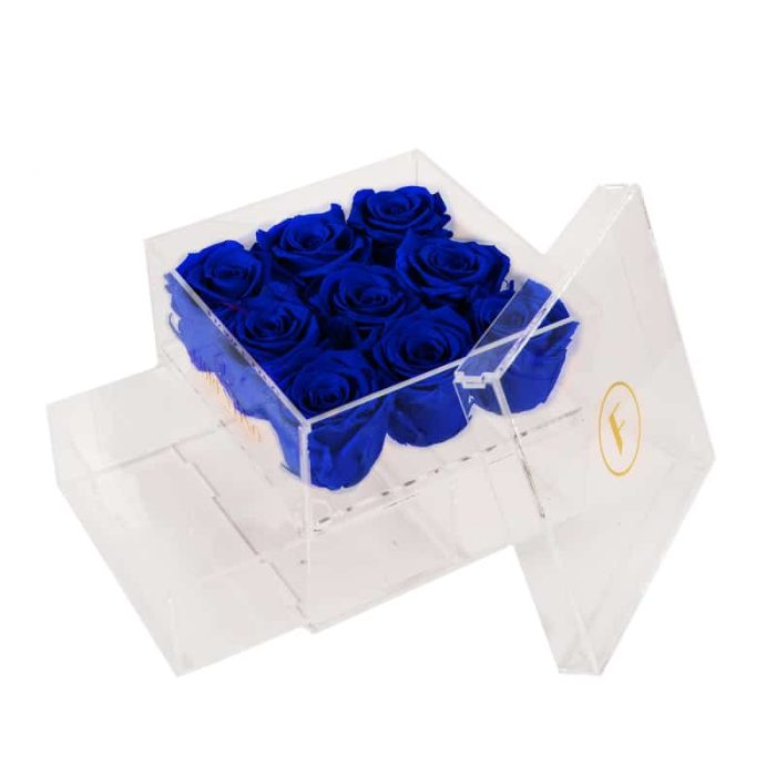 BLUE JEWEL PREMIUM