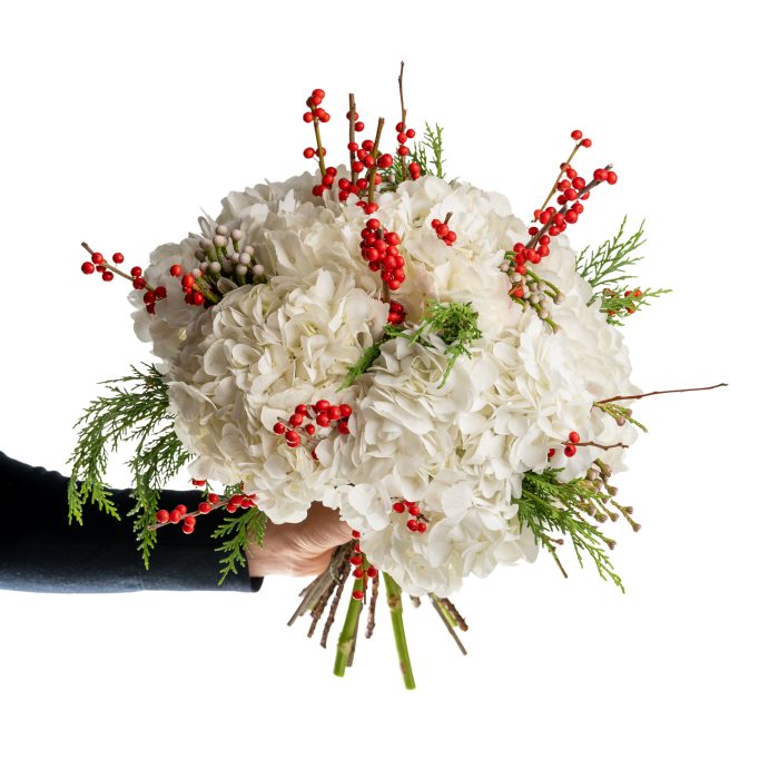 christmas bouquet with white hydrangeas and ilex