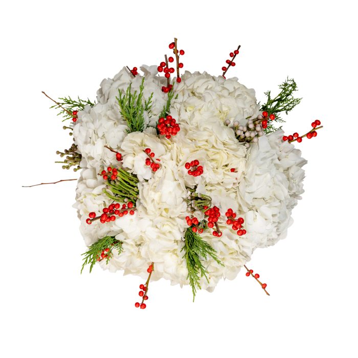 christmas bouquet with white hydrangeas and ilex